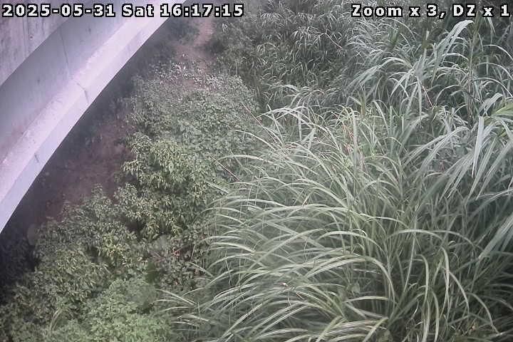 水利署水資源  花蓮縣政府水利科 嘉國橋1 距離1.1公里 氣溫25.7度