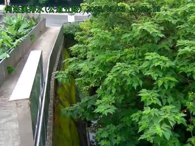 水利署水資源 新竹市政府消防局 何姓溪(公道五路)