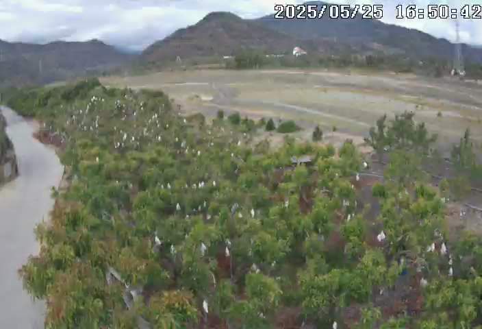 水利署水資源 屏東縣政府水利處 枋山大橋 3