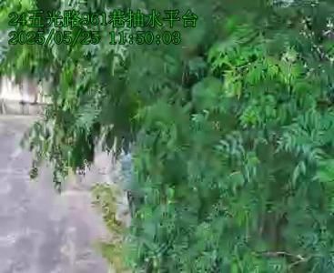 水利署水資源  台中市政府水利局 五光路961巷抽水平台 距離1.6公里 氣溫25.2度