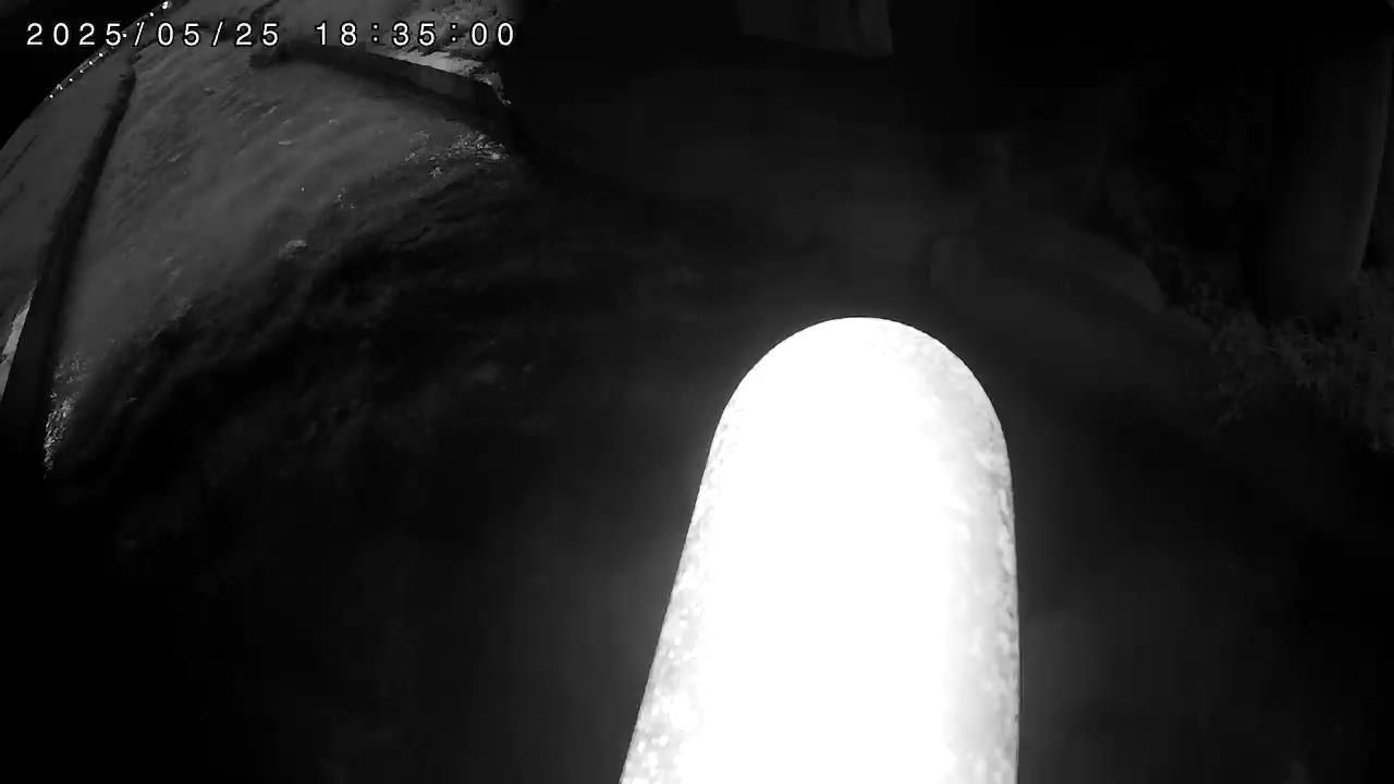 水利署水資源 花蓮縣政府水利科 東昌橋1