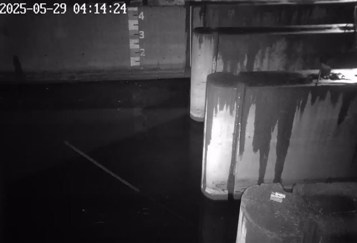 水利署水資源 屏東縣政府水利處 羌園排水分洪道#1