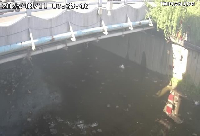 台南市道路 水利局 網寮橋 距離1.7公里