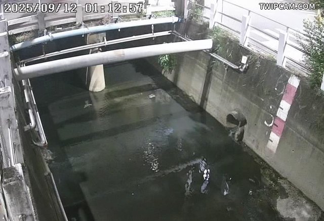 台南市道路 水利局 蔦松橋 距離3.1公里