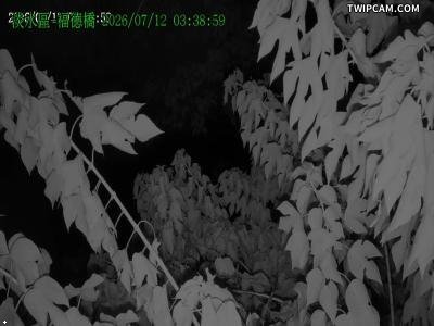 水利署水資源 新北市政府水利局(智慧防汛) 福德橋即時影像