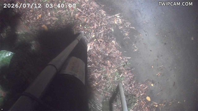 水利署水資源 新北市政府水利局(智慧防汛) 保長路即時影像