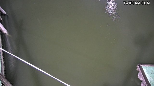 水利署水資源 第五河川分署 台子村堤防 0K+223即時影像
