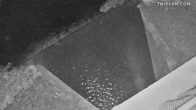 水利署水資源 第九河川分署 大進堤防1+230水門即時影像