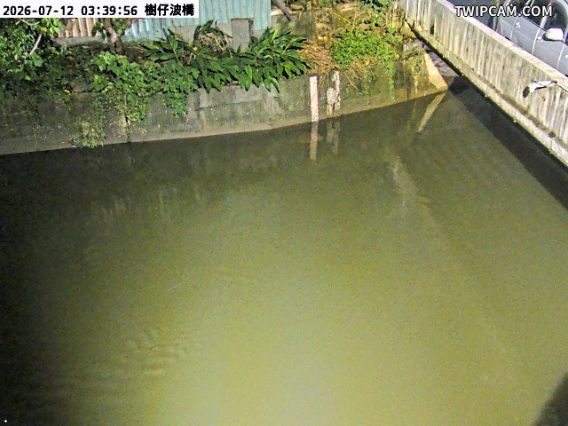 水利署水資源 桃園巿政府水務局(智慧防汛) 樹仔坡橋即時影像