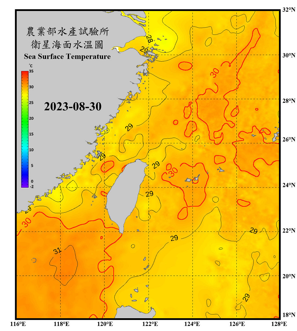 衛星海水溫度影像